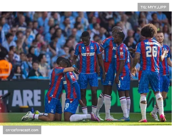 桑德兰9射2正主场失守 黑马控场能力随赛季深入下滑